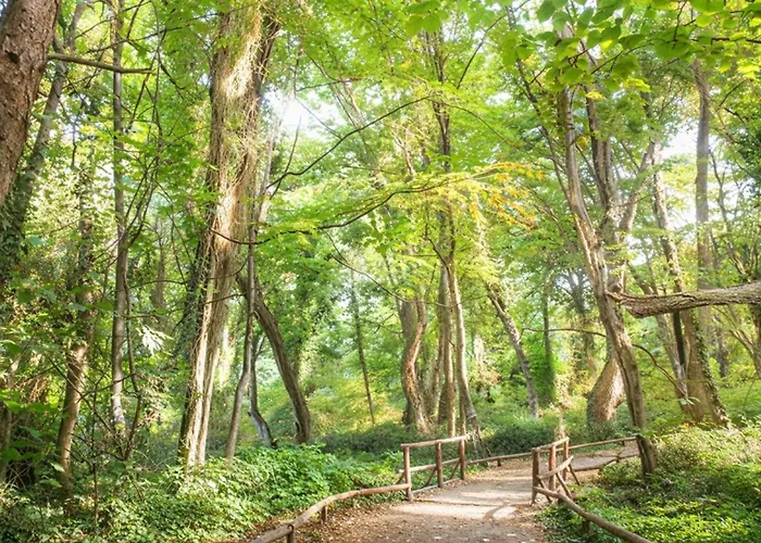 Daire Cozy Nest With Glass Veranda Varna