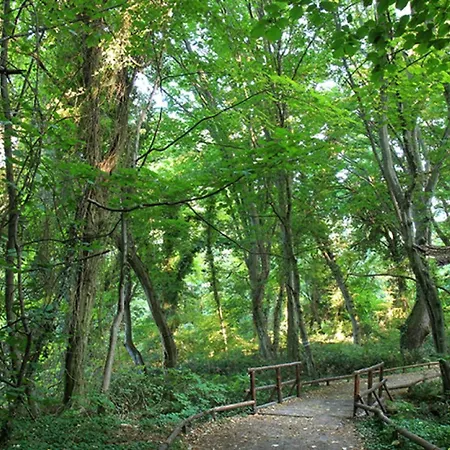 Daire Cozy Nest With Glass Veranda Varna